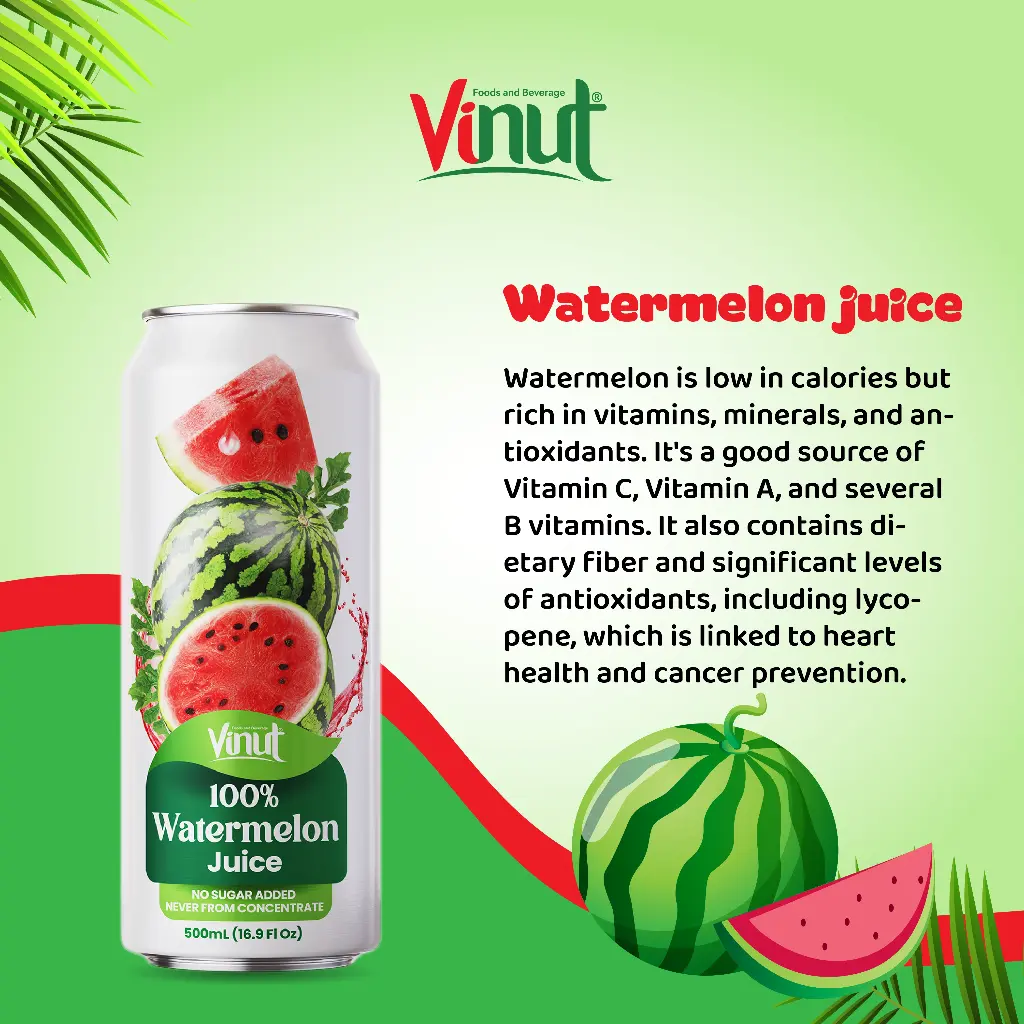 100-NFC-Watermelon-490ml-01.png.webp