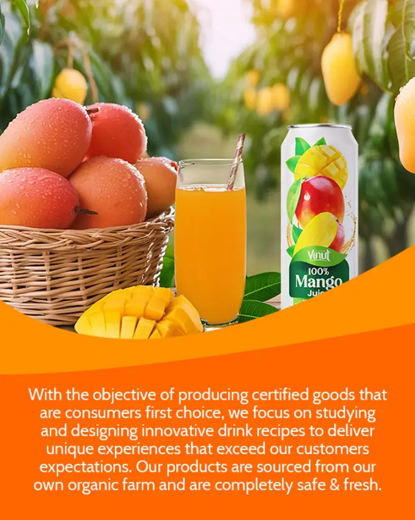 100-Mango-Juice-drink-vinut-without-pulp-600x750_1.jpg.webp