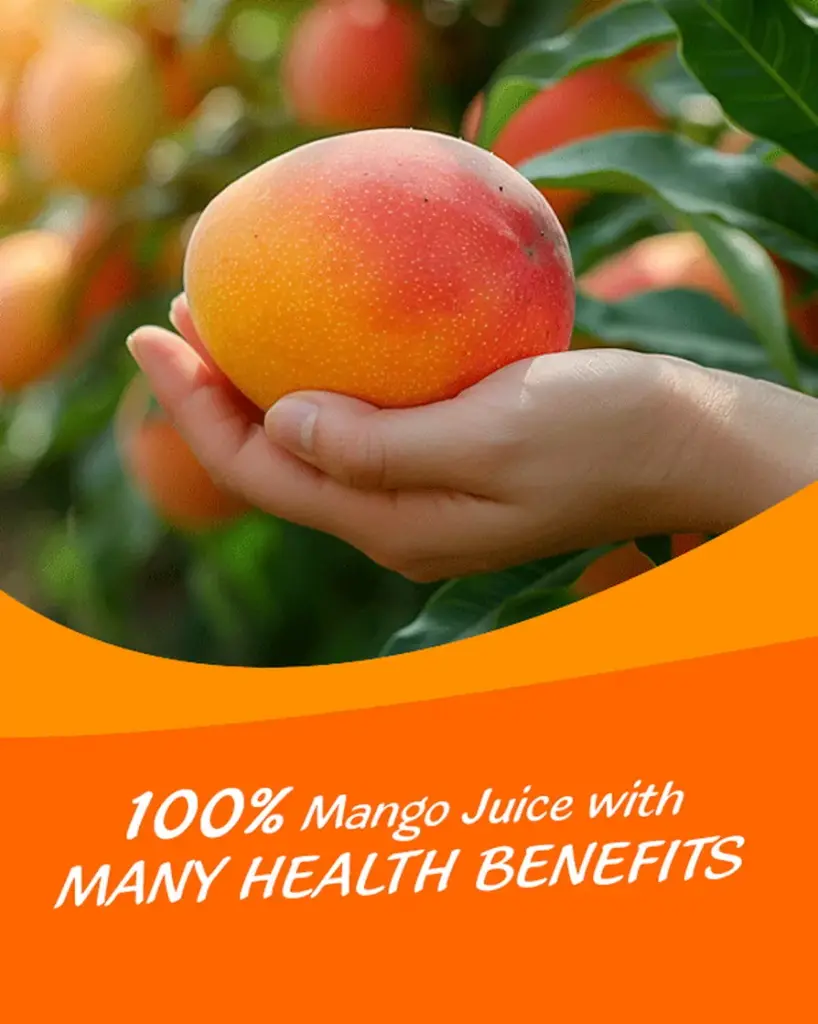 100-Mango-Juice-drink-vinut-without-pulp-600x750-1.jpg.webp