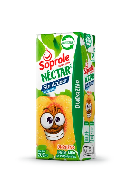 NECTAR UHT DURAZNO 6X200 ML