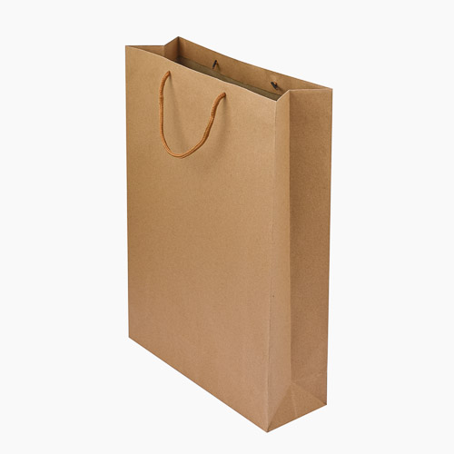 🛍️ Bolsa Delivery 34 × 39 cm